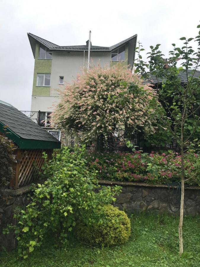 Ярдана Apartment Skhidnytsia Exterior foto